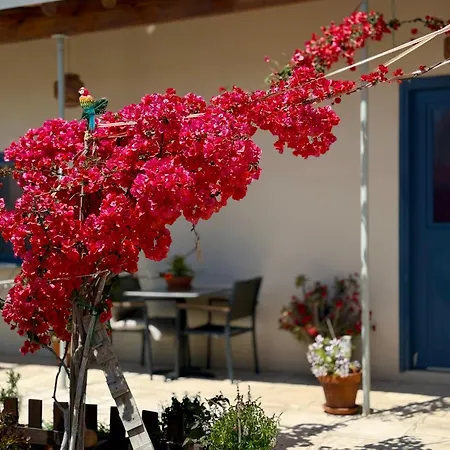 Διαμέρισμα Traditional Residences Κίτι